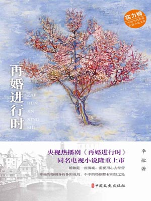 再婚进行时小说封面