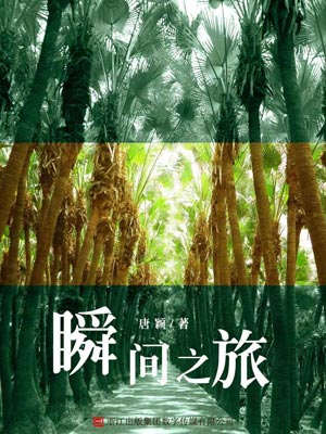 瞬间之旅小说封面