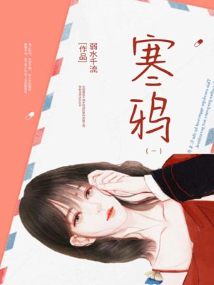寒鸦小说封面