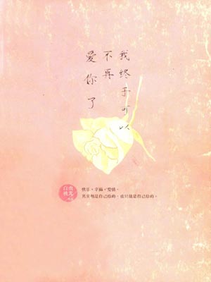我终于可以不再爱你了小说封面