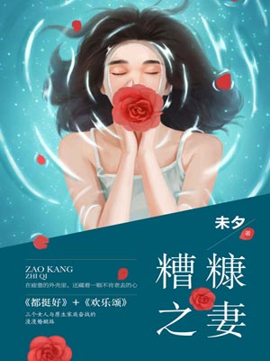 糟糠之妻小说封面
