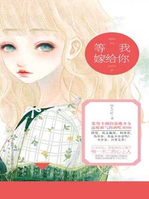 等我嫁给你小说封面