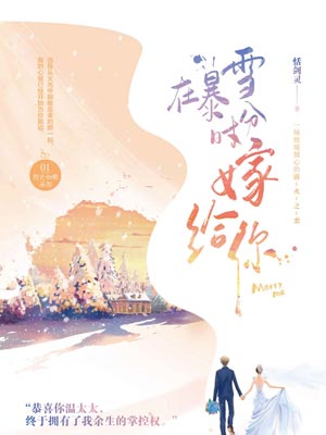 在暴雪时分嫁给你小说封面