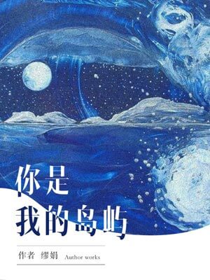 浮生若梦2:你是我的岛屿小说封面