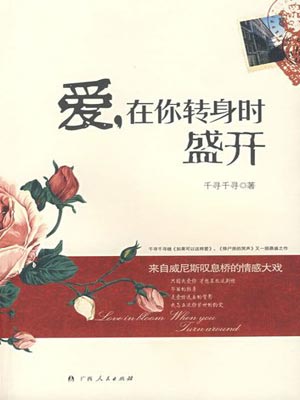 爱,在你转身时盛开小说封面