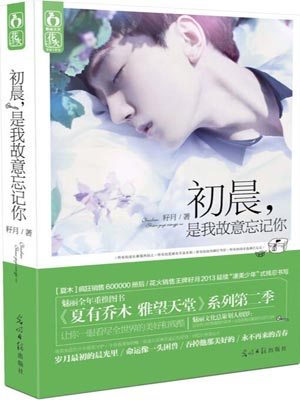 初晨,是我故意忘记(与晨同光)小说封面