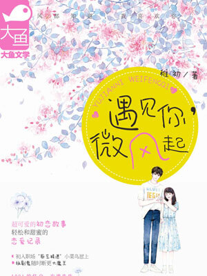 遇见你,微风起