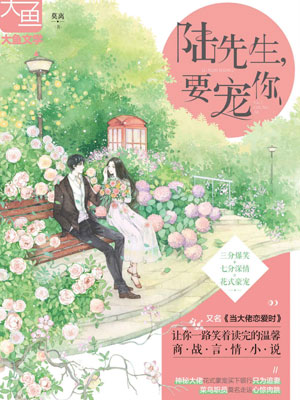 陆先生,要宠你