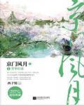 京门风月小说封面