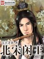 北宋闲王小说封面