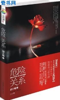 危险关系小说封面