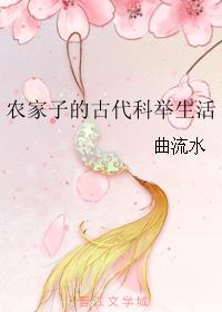 盲人按摩师小说封面