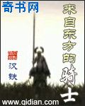 来自东方的骑士小说封面
