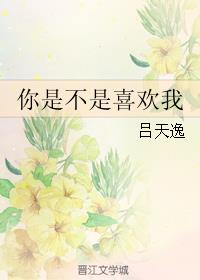 你是不是喜欢我小说封面