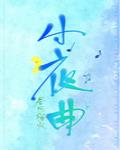 小夜曲小说封面