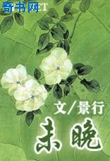 未晚小说封面