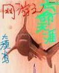 网游之亡命天涯小说封面
