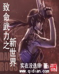 致命武力之新世界小说封面