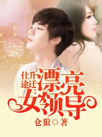 仕途升迁：漂亮女领导小说封面