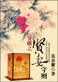 穿越之贤妻守则小说封面