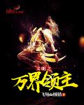 文明之万界领主小说封面