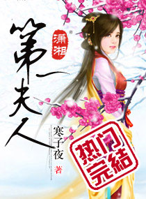 第一夫人小说封面