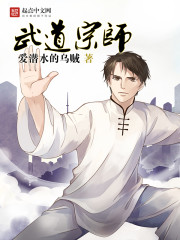 武道宗师小说封面