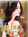 总裁大人不要啊小说封面
