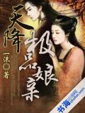天降极品娘亲小说封面