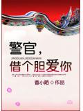 警官,借个胆爱你小说封面