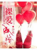裸爱成婚小说封面