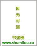 赖上vip情人小说封面