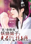 夫君们抱上瘾小说封面