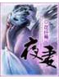 夜妻小说封面