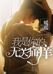 我是你的无关痛痒小说封面