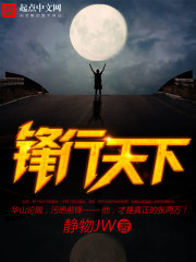 风行天下小说封面
