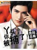 危险总裁:丫头,你被捕了!小说封面