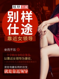 别样仕途：靠近女领导小说封面