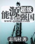 超级能源强国小说封面