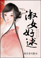 淑女好逑小说封面