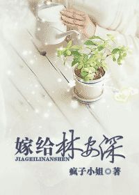 嫁给林安深小说封面