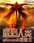 最后人类小说封面