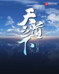 天道方程式小说封面