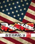 寻宝美利坚小说封面