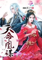 天命凰谋小说封面