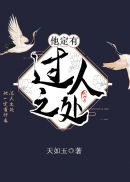 他定有过人之处小说封面