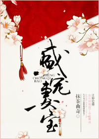 盛宠妻宝小说封面
