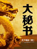大秘书小说封面