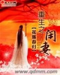 重生之闲妻小说封面