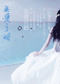 无爱言婚小说封面